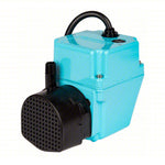Centrifugal Pump: 115V AC, 12 ft Max Head, 1/4 in Intake and Disch